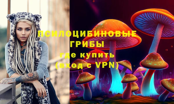 МДПВ Богородицк