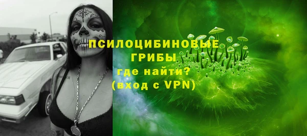 спиды Бронницы