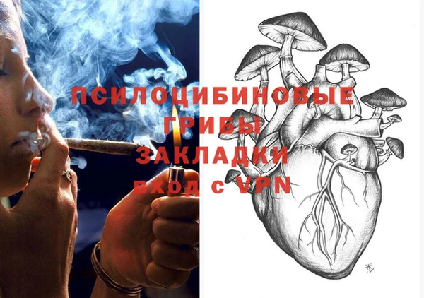 дживик Богородск
