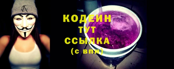дживик Богородск