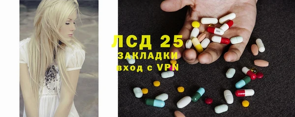 дживик Богородск