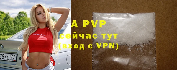 героин Богданович