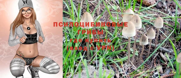 дживик Богородск
